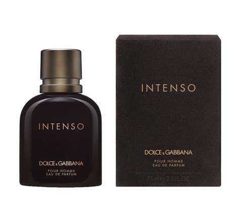 dolce gabbana intenso edp 200 ml|dolce & gabbana intenso review.